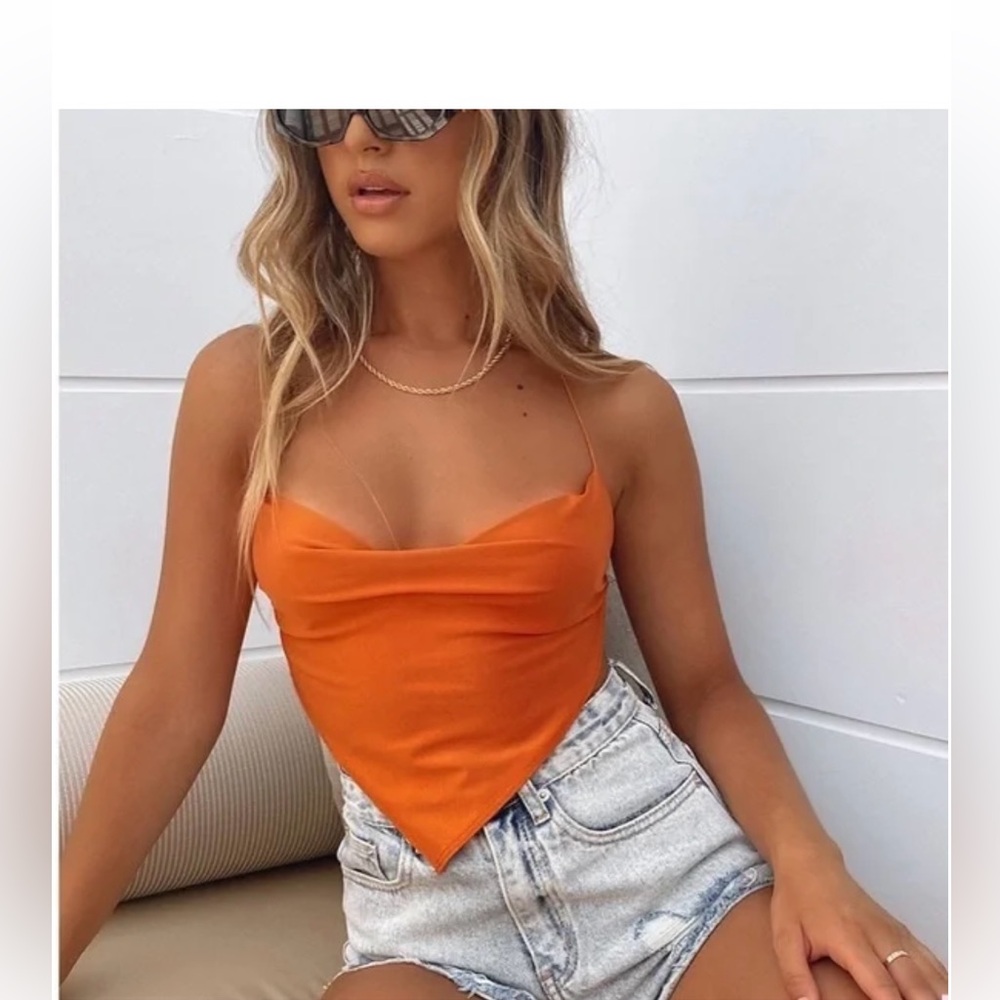 White fox top